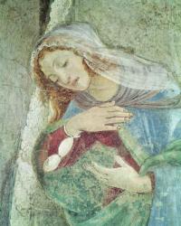 The Annunciation (detail of the Virgin), c.1445 (fresco) | Obraz na stenu