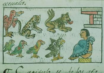 Ms Palat. 218-220 Book IX Animals of the Aztec Emperor, from the 'Florentine Codex' by Bernardino de Sahagun, c.1540-85 | Obraz na stenu
