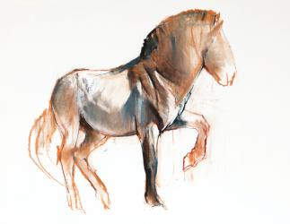 Turning (Przewalski), 2013, (pastel and charcoal on paper) | Obraz na stenu