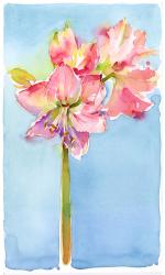 Amaryllis with aqua background, 2015, (watercolor) | Obraz na stenu