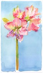 Amaryllis with aqua background, 2015, (watercolor) | Obraz na stenu