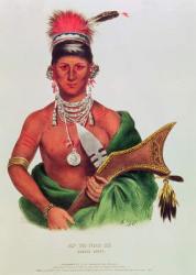 Ap-Pa-Noo-Se, Saukie Chief (colour litho) | Obraz na stenu