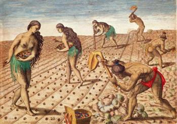 Brevis Narratio, Culture and Sowing Seeds, 1563 (colour engraving) | Obraz na stenu
