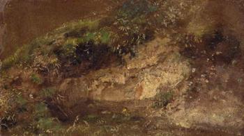 Undergrowth, c.1821 (oil on paper on board) | Obraz na stenu