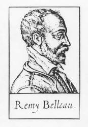 Remy Belleau (engraving) | Obraz na stenu