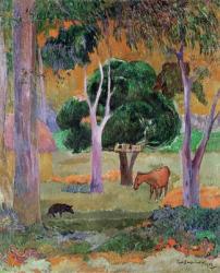 Dominican Landscape or, Landscape with a Pig and Horse, 1903 (oil on canvas) | Obraz na stenu
