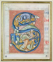 Historiated initial 'S' depicting an acrobat and fantastical animals, from the Bible of Saint-Andre aux-Bois (vellum) | Obraz na stenu