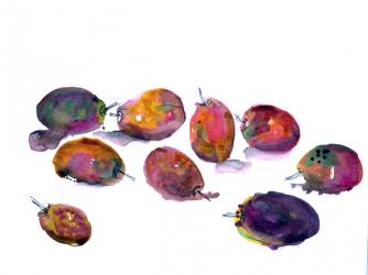 Plums, Food Illustration Series, 2017, (watercolour) | Obraz na stenu