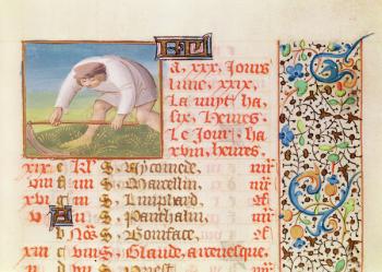 Ms 134 June: Reaping, from a Book of Hours (vellum) | Obraz na stenu