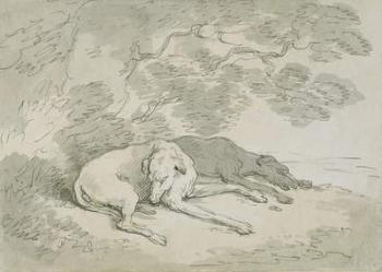 Greyhounds Asleep, (pen & ink and w/c on paper) | Obraz na stenu
