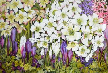 Spring Border: Hellebores, Crocus and Violets, (watercolour) | Obraz na stenu