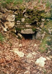 Covered entrance to a tumulus (photo) | Obraz na stenu