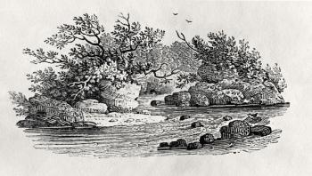 A bend in the river, from 'Water Birds', published 1804 (wood engraving) | Obraz na stenu