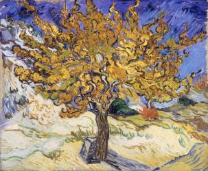 Mulberry Tree, 1889 (oil on canvas) | Obraz na stenu