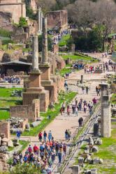 The Roman Forum, Via Sacra, the Sacred Way, Rome, Italy (photo) | Obraz na stenu