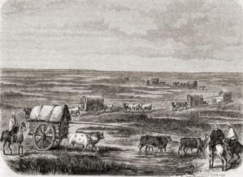 Wagon Train on the Argentinian Pampas in the 1860s, engraved by Alfred Louis Sargent (b.1828) (engraving) | Obraz na stenu