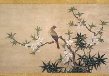 Bird on peach blossom, c.1550-60 (watercolour on paper) | Obraz na stenu