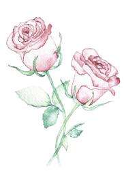 Twin Roses, 2016, (watercolour) | Obraz na stenu