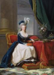Marie-Antoinette (1755-93) 1788 (oil on canvas) | Obraz na stenu