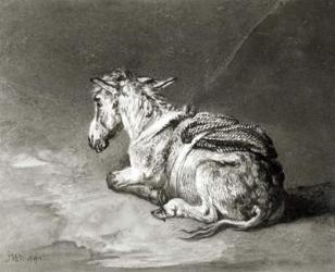Donkey at Rest (w/c on paper) (b/w photo) | Obraz na stenu