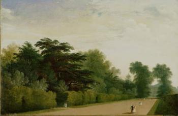 Kensington Gardens, 1815 (oil on canvas) | Obraz na stenu