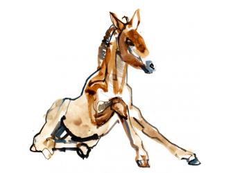 Ochre Foal (Przewalski), 2013 (sennelier ink, watercolour and gouache) | Obraz na stenu