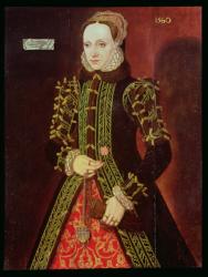 Elizabeth Fitzgerald, Countess of Lincoln, 1560 (oil on panel) | Obraz na stenu