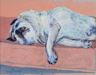 Sleeping Pug Two, 2000,(ink and gouache) | Obraz na stenu