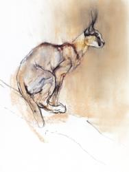 Seated Caracal, 2009 (conte & charcoal on paper) | Obraz na stenu