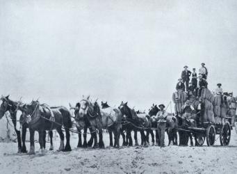 Wool carrying team, Western Australia, c.1900, from `Under the Southern Cross - Glimpses of Australia', published by Department of External Affairs, Melbourne, 1908 (b/w photo) | Obraz na stenu