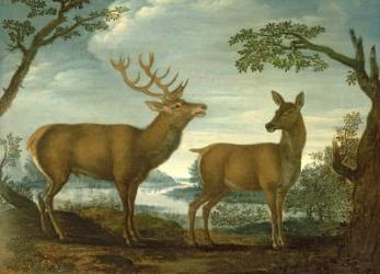 Stag and hind in a wooded landscape (panel) | Obraz na stenu