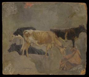 Study of Five Horned Cattle (verso) (oil on millboard) | Obraz na stenu