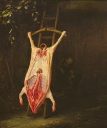 Flayed Pig (oil on panel) | Obraz na stenu