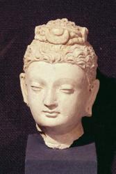 Head of a Buddha, Greco-Buddhist style, from Hadda (stucco) | Obraz na stenu