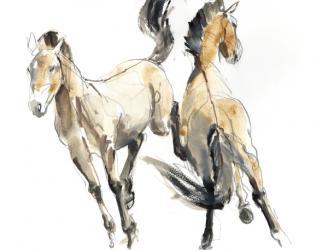 Horsing, 2013 (watercolour and pigment on paper) | Obraz na stenu