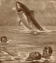 19th century illustration of a man rescuing a swimmer with a shark in the background (litho) | Obraz na stenu