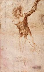 Sketch of a Nude Man (W. 4 recto) (pen & ink on paper) | Obraz na stenu