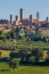 San Gimignano, Siena Province, Tuscany, Italy. Fields surrounding the medieval town famous for its towers. The historic centre of San Gimignano is a UNESCO World Heritage Site. (photo) | Obraz na stenu