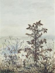 Thistles and Weeds, 1864 (w/c, bodycolour, pen & ink and pencil on paper) | Obraz na stenu