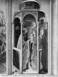 Cycle of the Life of the Virgin, Presentation of Jesus at the Temple, c.1445 (oil on poplar panel) (b/w photo) | Obraz na stenu