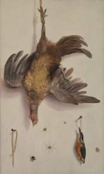 A Hen and a Kingfisher Hanging on a String (oil on canvas) | Obraz na stenu