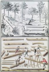 Ms 131k Different species of tree and sawing logs, from 'Traite de Fortifications' (pen & ink and w/c on paper) | Obraz na stenu