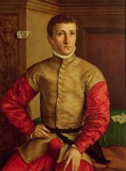 Portrait of a Young Man, 1544 (oil on panel) | Obraz na stenu