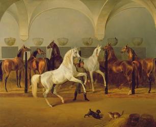 The Stables at Babolna, 1849 | Obraz na stenu
