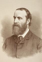 Charles Stewart Parnell, c.1890 (litho) | Obraz na stenu