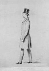 A Governor General, by John Doyle published by Thomas McLean, 1842 (drawing) | Obraz na stenu