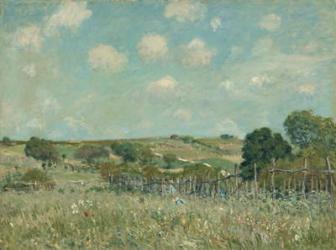 Meadow, 1875 (oil on canvas) | Obraz na stenu