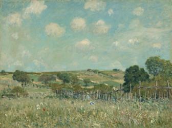 Meadow, 1875 (oil on canvas) | Obraz na stenu