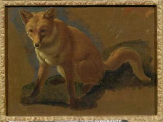 Study of a Fox (oil on panel) | Obraz na stenu