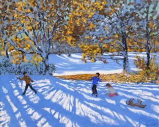 Early snow, Allestree Park. 2017,(oil on canvas) | Obraz na stenu